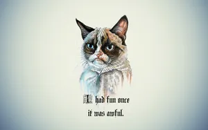Scruffy Grumpy Cat Wallpaper