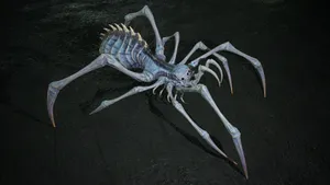 Sea Spider Creature Illustration Wallpaper