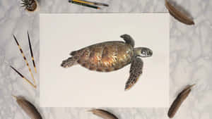 Sea Turtle Watercolor Art Wallpaper