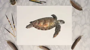 Sea Turtle Watercolor Art Wallpaper