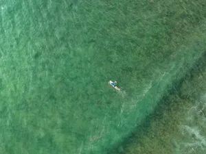 Seafoam Green Abstract Swirls Wallpaper