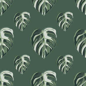 Seamless Monstera Leaves Digital Art Wallpaper