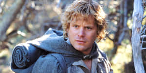 Sean Astin [wallpaper] Wallpaper