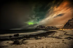 Searching The Beach Wallpaper