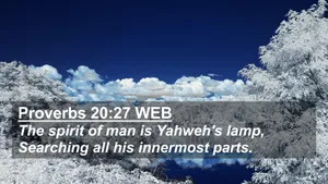 Searching Trees Bible Verse Wallpaper