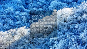 Searching Winter Bible Verse Wallpaper