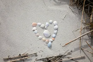 Seashell Hearton Sand Wallpaper