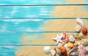 Seashells And Starfishes Wallpaper