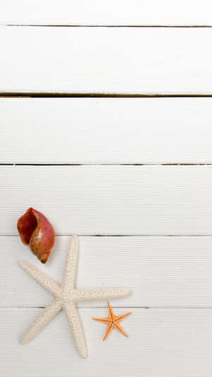 Seashellsand Starfishon White Wooden Background Wallpaper