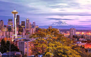 Seattle Hd Tree Cityscape Wallpaper