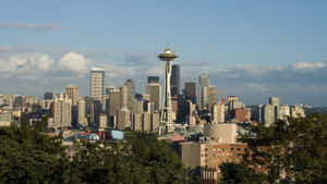 Seattle Skyline From A Hillside Wallpaper