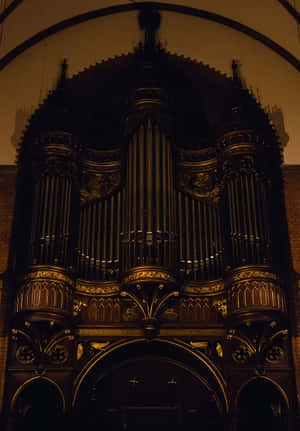 Secular Neo-gothic Organ Wallpaper