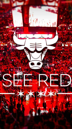 See Red Chicago Bulls Phone Wallpaper