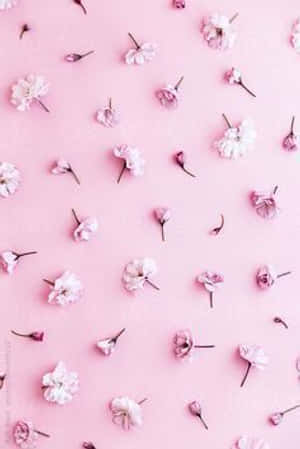 See The Cutest Phone Design Ever! Wallpaper