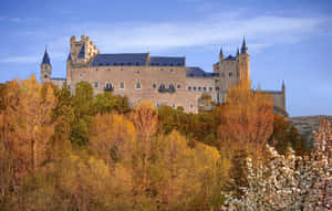 Segovia Castle With Fall Trees Wallpaper