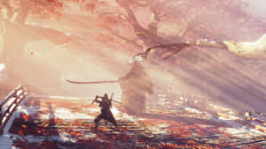 Sekiro Sunset Duel4 K Wallpaper