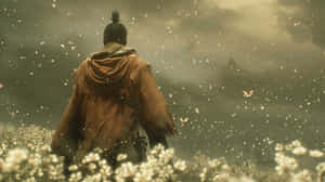 Sekiro Warrior Gazing Over Field4 K Wallpaper