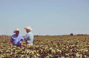 Senator John Cornyn Visiting A Texas Farm Wallpaper