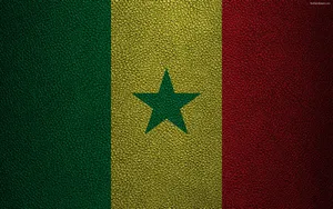 Senegal Textured Flag Wallpaper