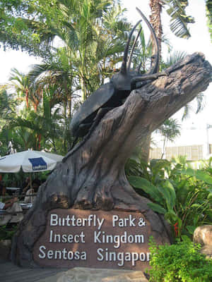 Sentosa Butterfly Park Insect Kingdom Entrance Wallpaper