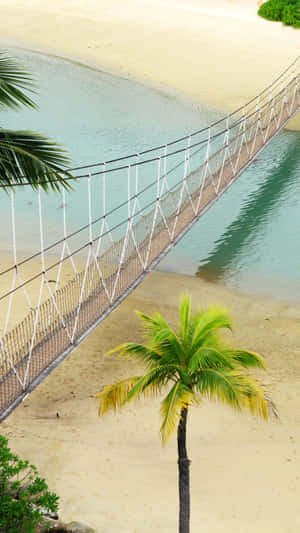 Sentosa Island Suspension Bridge Wallpaper