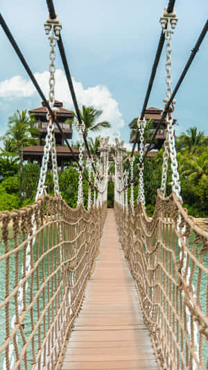 Sentosa Island Suspension Bridge Wallpaper