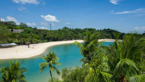 Sentosa Island Tropical Beach View Wallpaper