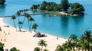 Sentosa Island Tropical Beach View Wallpaper