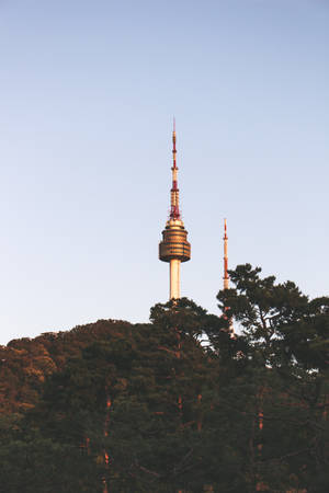 Seoul Namsan Park Wallpaper