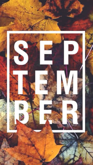 September Fall Leaves Aesthetic Wallpaper