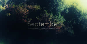 September Forest Desktop Calendar Wallpaper