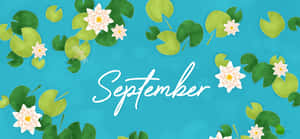 September Lotus Theme Desktop Background Wallpaper