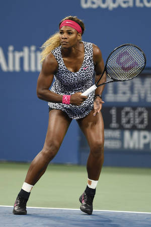 Serena Williams Animal Print Wallpaper