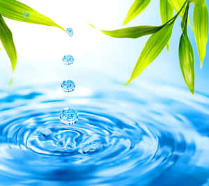 Serene 3d Water Wallpaper Wallpaper