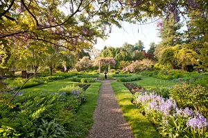 Serene And Lush Garden Scene With Various Plants And Flowers Wallpaper