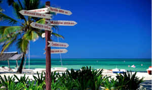 Serene Australian Beach At Sunset Wallpaper