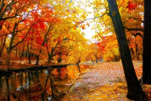 Serene Autumn Scenery Wallpaper