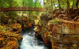 Serene Autumn Trail In The Woods Wallpaper