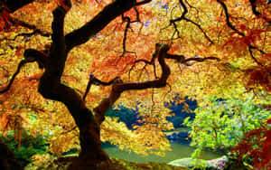 Serene Autumnal Equinox Landscape Wallpaper