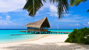 Serene Bahamas Beach - Crystal Clear Waters And A Stunning Skyline Wallpaper