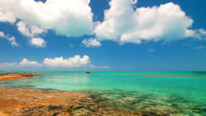 Serene Bahamas Beach Paradise Wallpaper