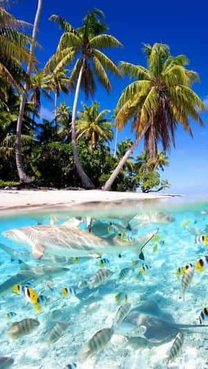 Serene Beach Getaway Wallpaper