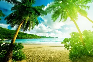 Serene Beach Summer Season Wallpaper