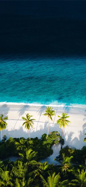 Serene Beach Sunset Wallpaper