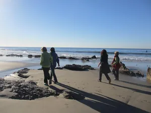 Serene Beach Walk At Sunset Wallpaper