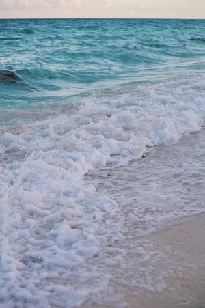 Serene_ Beach_ Waves_ Summer_ Aesthetic.jpg Wallpaper
