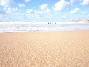 Serene Beach With Pristine Sands Wallpaper