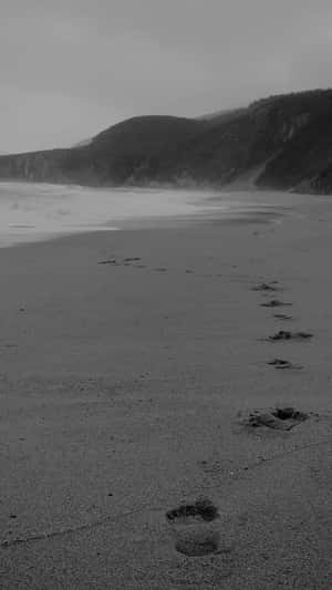 Serene Black And White Beach Wallpaper