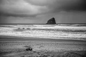 Serene Black And White Beach Wallpaper