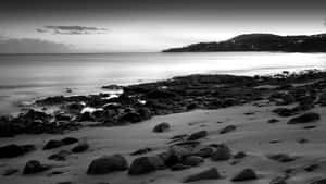 Serene Black And White Beach Wallpaper